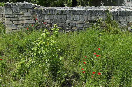 原始保护目前Razgrad镇古罗马城市建筑部分内部墙壁的阿布里特斯考古综合建筑群 主要保存该城文化历史寺庙天空石头展示旅游堡垒武图片