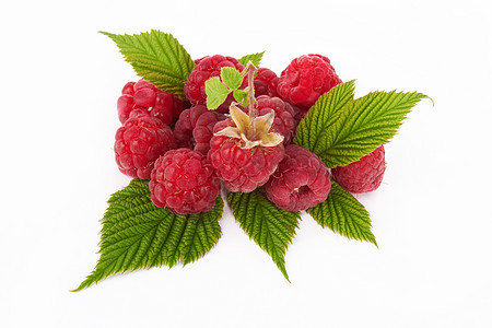 甜草莓水果叶子活力白色果味饮食红色食物甜点花园图片