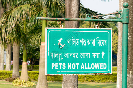公园花园不允许携带宠物标志牌 禁止携带宠物的标志牌 许可概念背景警告设备路标媒体运输信息旅游外观草地绿色图片