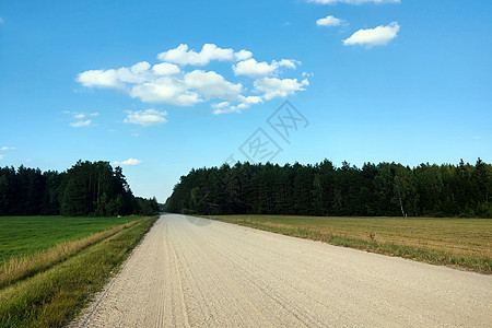 乡村道路在明亮的一天里出现场地小路森林农田风景季节农场地平线农业沥青图片