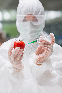 站在实验室里给西红柿注射的学生们图片