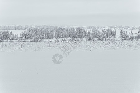 冬季大自然的美丽季节爬坡场景植物群天气木头荒野植物雪堆森林图片