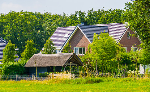 拥有大草牧场的现代农舍 荷兰建筑位于国家一侧 Bergen op 缩放 荷兰图片