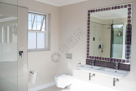 空洗手间视图植物地面公寓房间房子白色浴缸建筑学洗澡图片