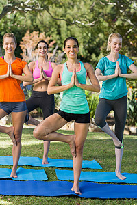 妇女做瑜伽生活方式女士运动垫姿势平衡福利团结晴天绿地运动服图片