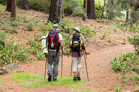 在森林中登山的夫妇女士男性男人远足假期运动服农村旅游勘探背包图片