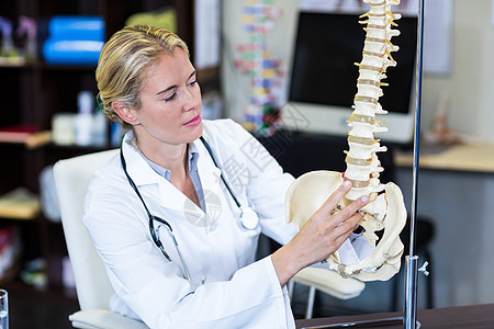 理疗师看脊椎模型诊所医学专家检查职业脊柱治愈生理学治疗骨盆背景图片