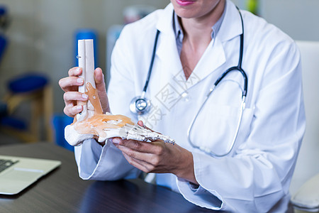 拥有骨脚模型的物理治疗师医疗检查医学治疗放射科女性医院医生沟通保健图片