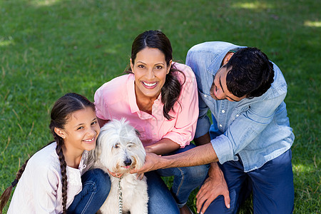 家庭在公园里与宠狗一起享受父亲快乐儿子亲热动物孩子生活假期野餐现实图片