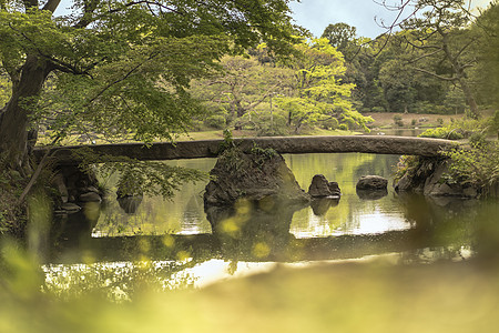 在Rikugigien池塘上的日本石桥和花棚花园蓝色鸢尾花位置季节垂直天空背景花头植物图片