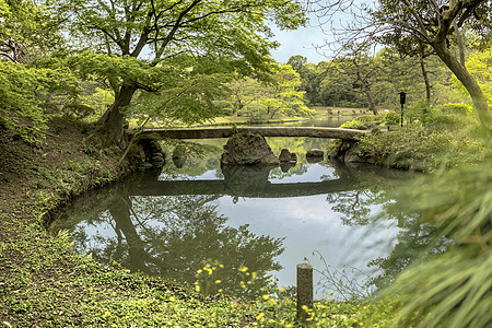 Rikugugien公园池塘上的日本石桥位置季节天空蓝色公共公园鸢尾花叶子花瓣垂直松树图片