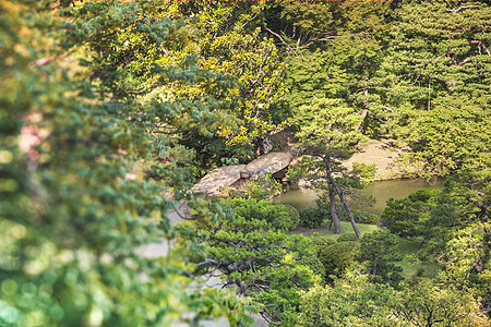 大石桥 叫做池塘上的图格素桥植物文化树木摊位叶子树叶摄影公园垂直晴天图片