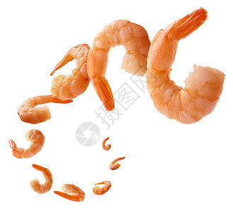 白色背景上浮着煮熟的虾鱼餐厅甲壳悬浮营养美食烹饪飞行宏观海鲜橙子图片