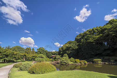 台湾馆京哥乐台花园历史性摄影王朝植物建筑树木池塘阴影公园图片