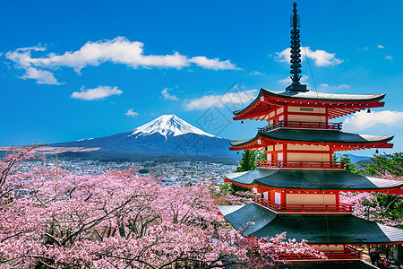 春天樱花开花 日本的朱瑞托塔和藤山公园火山蓝色地标日落花园神道神社风景宝塔图片