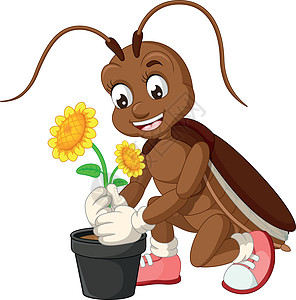 棕色蟑螂在黑盆栽卡通片中种植黄色花朵图片