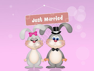 兔子胡萝卜兔子婚礼庆典农场问候语婚姻插图耳朵明信片男性快乐动物背景