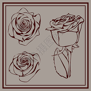 灰色背景上的三朵轮廓深红玫瑰图片