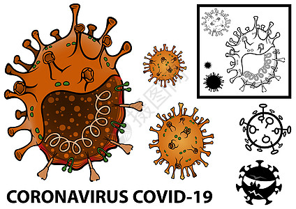 冠状病毒的图示背景图片