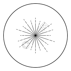 抖森森伯斯特烟花射线径向射线束线闪光釉耀斑星爆同心辐射线图标在圆圈圆形轮廓黑色矢量插图平面样式图像设计图片