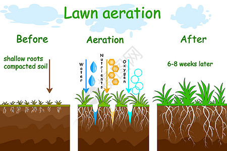 草坪曝气阶段插图 曝气前后培育草原服务园丁说明土壤通风操作标签花园图片
