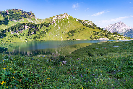 在美丽的坦海姆山谷中徒步旅行和攀登高山蓝色全景顶峰草地假期挑战风险攀岩山地行图片