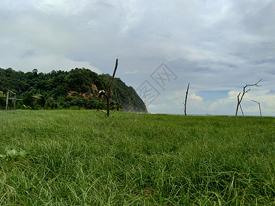 蓝天空背景的绿草地蓝色农村植物旅行晴天场地全景农场季节爬坡图片