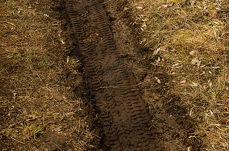弹簧 泥土和草地的自动轮胎印图片