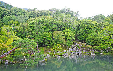 植物 山 湖 反射在日巴图片