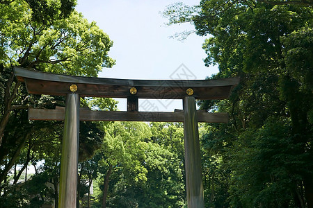 Harajuku的公园大门入口处文化旅行历史神社宗教地标木头建筑学观光小路图片