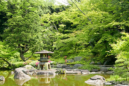 日本户外石器灯笼 金园绿色植物季节椅子公园石头花园农村树木云杉反射植物图片