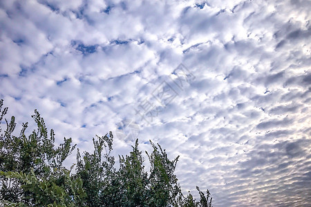 蓝天空 白云和绿树蓝色白色天空场景晴天云景背景图片