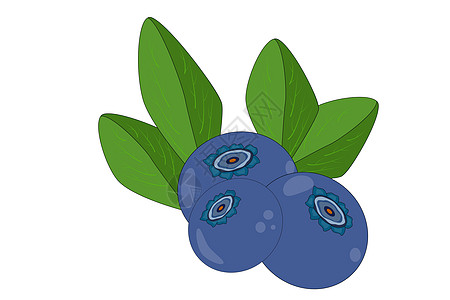 在白色背景隔绝的蓝莓 三个浆果图片