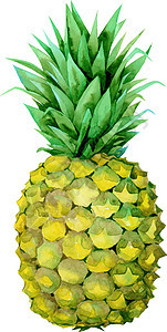 孤立的矢量水果黄色画菠萝图片