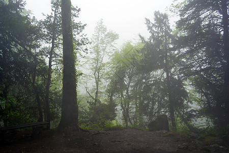 希腊奥林匹斯山的森林雾吸引力农村假期旅游游客季节场景日光薄雾木头图片