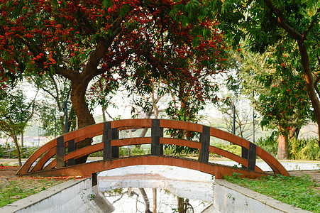 花园公园城市装饰运河池塘上的一座小拱桥 周围环绕着枫树树冠和秋色红花绿叶 前院或后院自然建筑背景摄影自然公园草地场景材料公共公园图片