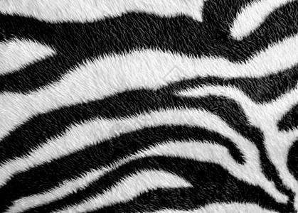 斑马皮纹人造革面料皮革绘画打印纺织品皮肤毛皮白色黑色装饰品动物图片