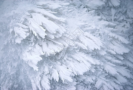 冻结的抽象雪水晶图片