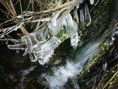 溪流中的冰冻干草图片