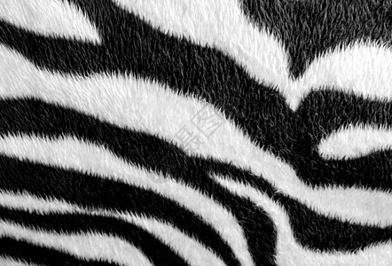 斑马皮纹人造革面料纺织品白色装饰品打印黑色织物毛皮皮肤动物绘画图片