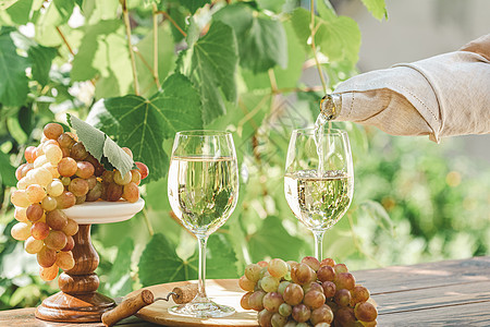 葡萄园里有绿色葡萄和白葡萄酒 S图片
