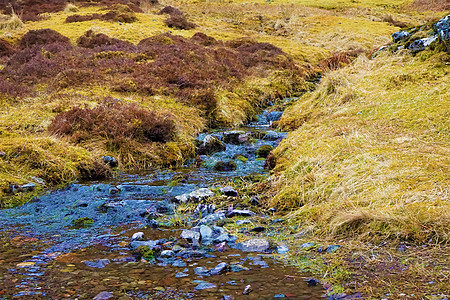 苏格兰高地的科伊河图片