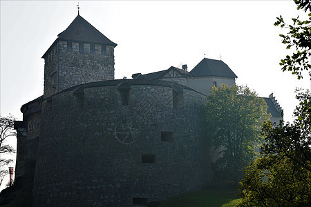 列支敦士登瓦杜兹城堡 在浓雾的清晨图片