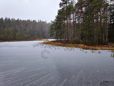 在Haukkalampi湖岛屿Fron的冰冻水图片