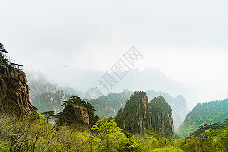 中国安徽黄山叶洛山地貌景观黑色日落绿色植物旅游旅行松树天线远足访问天空图片