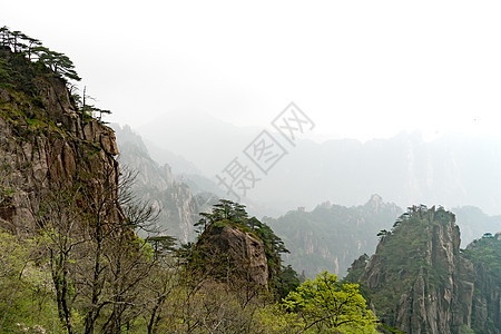 中国安徽黄山叶洛山地貌景观绿色绿色植物黄色岩石访问旅行远足旅游遗产树木图片