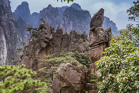 中国安徽黄山叶洛山地貌景观天空远足树木岩石天线遗产绿色植物顶峰黄色水平图片