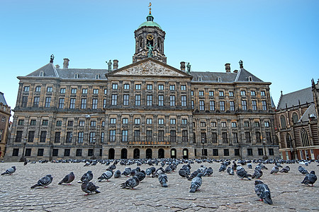 从阿姆斯特丹到大坝广场的城景中 带鸽子代替图片
