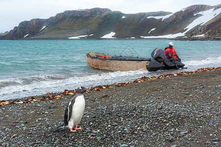 南极洲美丽的风景和风景海洋野生动物冰川冰山团体皇帝鸟类天空气候旅行图片