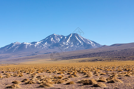 阿塔卡马沙漠 智利 安第斯 南美 美丽的景色和风景天空日落编队动物山脉沙漠高原旅行国家山谷图片